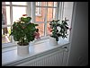 IMG_0537.jpg