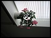 IMG_0539.jpg