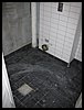 IMG_0616.jpg
